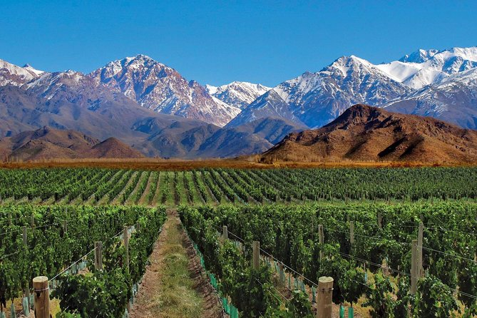 Mendoza (Ciudad)